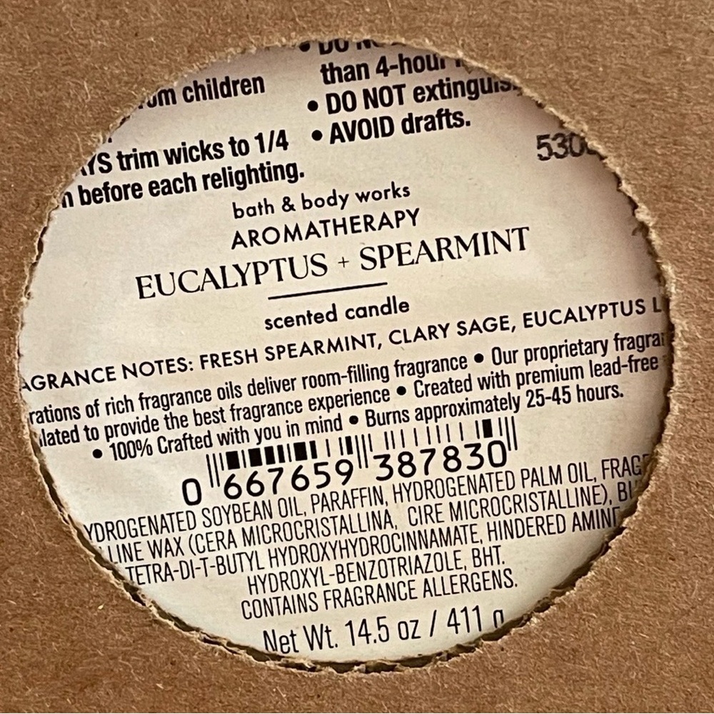Bath & Body Works Aromatherapy EUCALYPTUS SPEARMINT Large 3-Wick Candle, 14.5oz - Picture 3 of 4